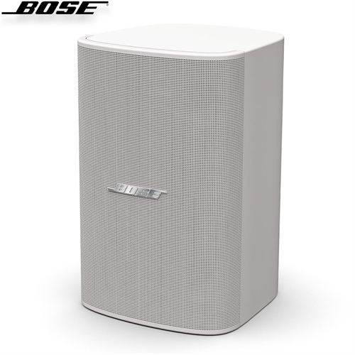 Loa Bose DesignMax DM6SE 2